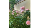 20-IMG_8316