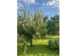 26-IMG_8311